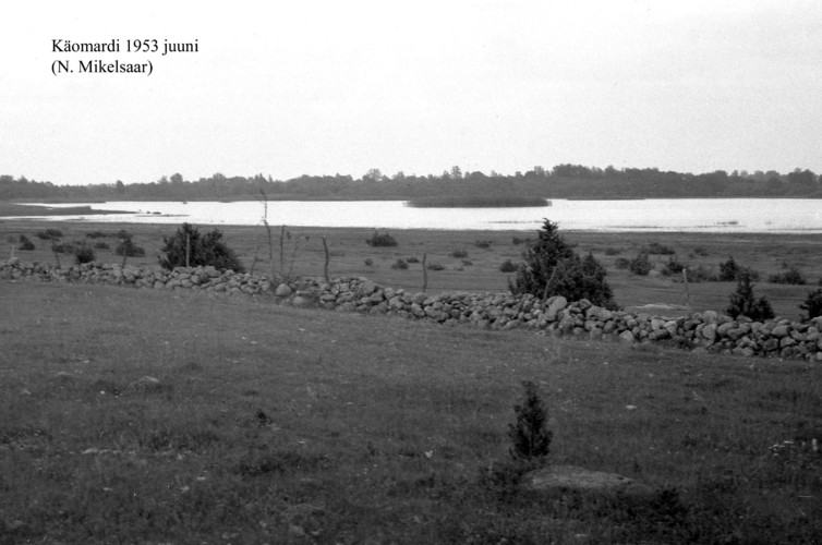 Maakond: Pärnumaa Veekogu nimi: Käomardi laht Pildistamise aeg: juuni 1953 Pildistaja: N. Mikelsaar Pildistamise koht: teadmata Asimuut:
