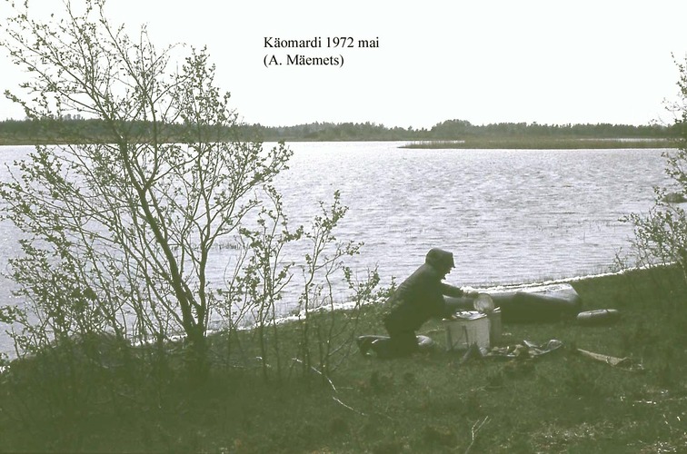 Maakond: Pärnumaa Veekogu nimi: Käomardi laht Pildistamise aeg: mai 1972 Pildistaja: A. Mäemets Pildistamise koht: teadmata Asimuut:
