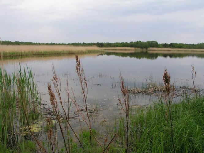 Maakond: Pärnumaa Veekogu nimi: Käomardi laht Pildistamise aeg: 5. juuni 2003 Pildistaja: H. Timm Pildistamise koht: teadmata Asimuut: