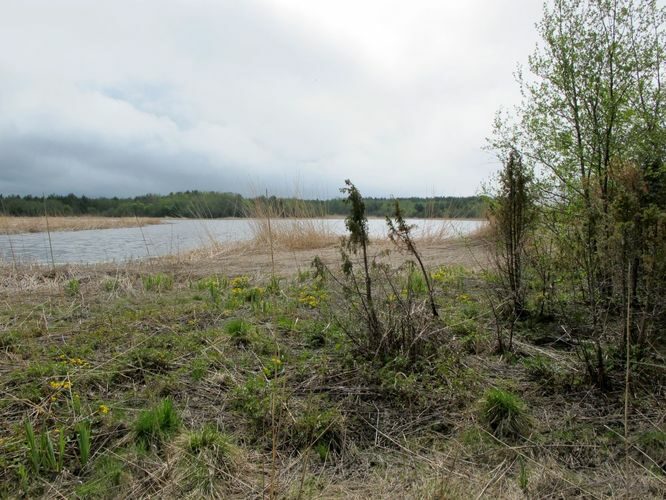 Maakond: Pärnumaa Veekogu nimi: Käomardi laht Pildistamise aeg: 17. mai 2011 Pildistaja: H. Timm Pildistamise koht: teadmata Asimuut: