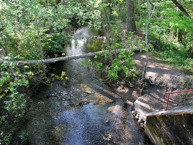 Maakond: Saaremaa Veekogu nimi: Kärla jõgi Pildistamise aeg: 14. mai 2008 Pildistaja: H. Timm Pildistamise koht: Kärla Asimuut: