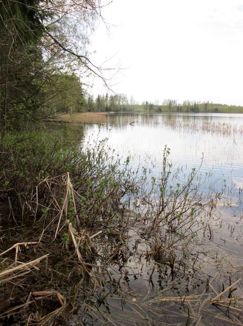 Maakond: Põlvamaa Veekogu nimi: Karsna järv Pildistamise aeg: 5. mai 2012 Pildistaja: H. Timm Pildistamise koht: teadmata Asimuut: