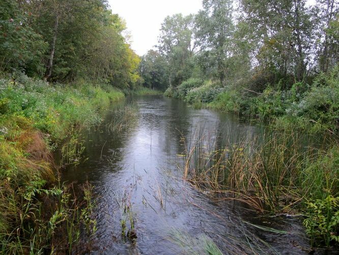 Maakond: Pärnumaa Veekogu nimi: Käru jõgi Pildistamise aeg: 12. september 2012 Pildistaja: H. Timm Pildistamise koht: Suurejõe Asimuut: