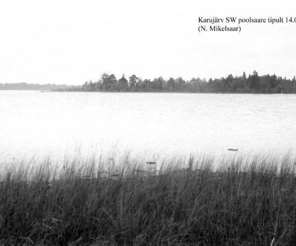 Maakond: Saaremaa Veekogu nimi: Karujärv Pildistamise aeg: 14. august 1954 Pildistaja: N. Mikelsaar Pildistamise koht: SW poolsaarelt Asimuut: NNE