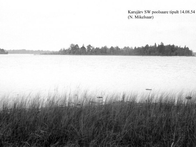 Maakond: Saaremaa Veekogu nimi: Karujärv Pildistamise aeg: 14. august 1954 Pildistaja: N. Mikelsaar Pildistamise koht: SW poolsaarelt Asimuut: NNE