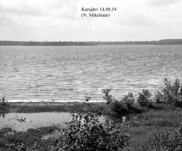 Maakond: Saaremaa Veekogu nimi: Karujärv Pildistamise aeg: 14. august 1954 Pildistaja: N. Mikelsaar Pildistamise koht: teadmata Asimuut: