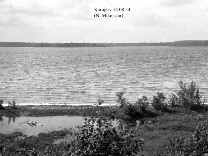 Maakond: Saaremaa Veekogu nimi: Karujärv Pildistamise aeg: 14. august 1954 Pildistaja: N. Mikelsaar Pildistamise koht: teadmata Asimuut: