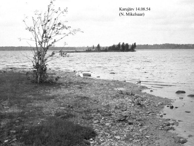 Maakond: Saaremaa Veekogu nimi: Karujärv Pildistamise aeg: 14. august 1954 Pildistaja: N. Mikelsaar Pildistamise koht: teadmata Asimuut: