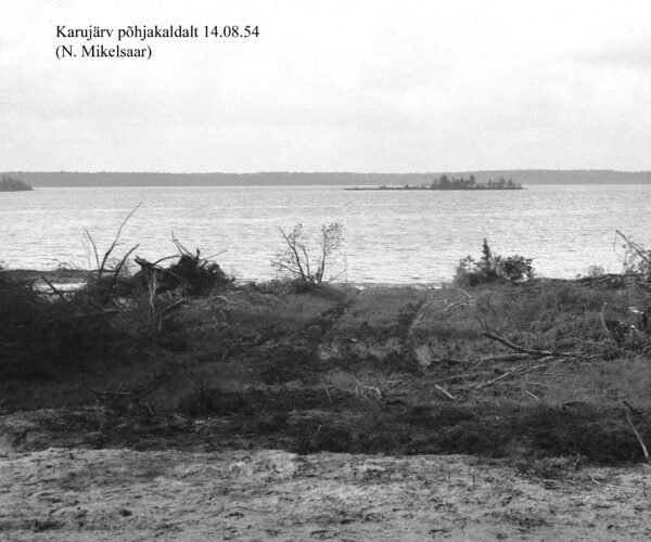 Maakond: Saaremaa Veekogu nimi: Karujärv Pildistamise aeg: 14. august 1954 Pildistaja: N. Mikelsaar Pildistamise koht: N kaldalt Asimuut: