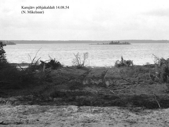 Maakond: Saaremaa Veekogu nimi: Karujärv Pildistamise aeg: 14. august 1954 Pildistaja: N. Mikelsaar Pildistamise koht: N kaldalt Asimuut: