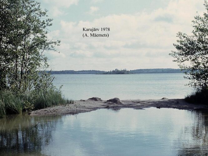 Maakond: Saaremaa Veekogu nimi: Karujärv Pildistamise aeg: 1978 Pildistaja: A. Mäemets Pildistamise koht: teadmata Asimuut: