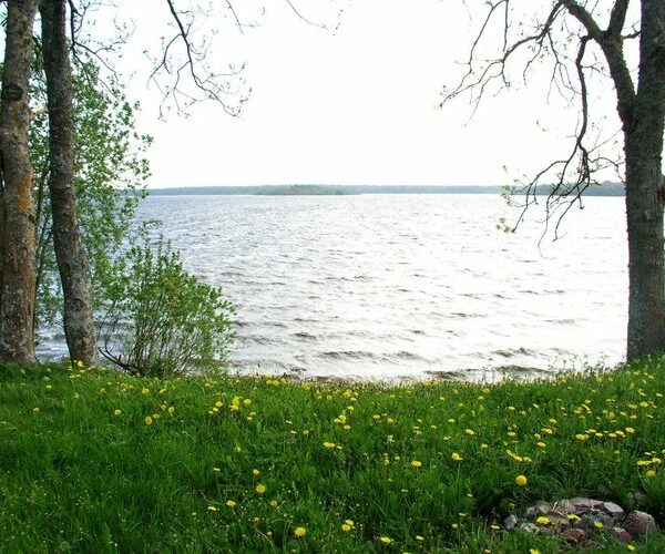 Maakond: Saaremaa Veekogu nimi: Karujärv Pildistamise aeg: 26. mai 2005 Pildistaja: H. Timm Pildistamise koht: teadmata Asimuut:
