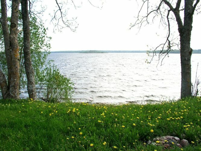 Maakond: Saaremaa Veekogu nimi: Karujärv Pildistamise aeg: 26. mai 2005 Pildistaja: H. Timm Pildistamise koht: teadmata Asimuut: