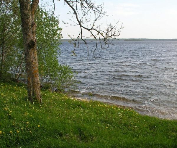 Maakond: Saaremaa Veekogu nimi: Karujärv Pildistamise aeg: 26. mai 2005 Pildistaja: H. Timm Pildistamise koht: teadmata Asimuut: