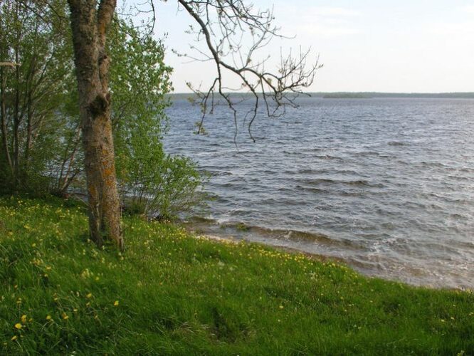 Maakond: Saaremaa Veekogu nimi: Karujärv Pildistamise aeg: 26. mai 2005 Pildistaja: H. Timm Pildistamise koht: teadmata Asimuut: