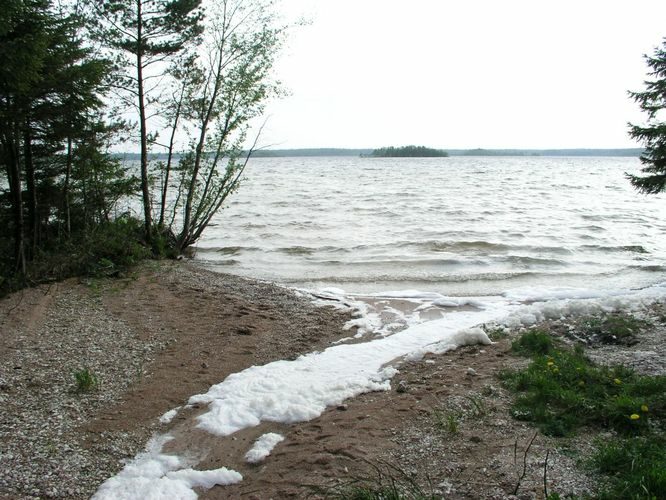 Maakond: Saaremaa Veekogu nimi: Karujärv Pildistamise aeg: 26. mai 2005 Pildistaja: H. Timm Pildistamise koht: teadmata Asimuut: