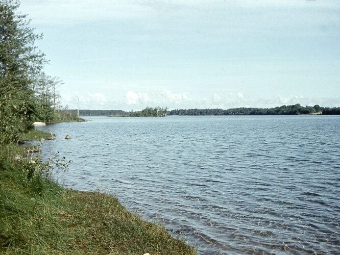 Maakond: Saaremaa Veekogu nimi: Karujärv Pildistamise aeg: teadmata Pildistaja: A. Maspuran Pildistamise koht: teadmata Asimuut: