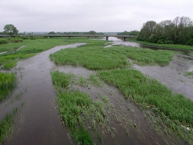 Maakond: Läänemaa Veekogu nimi: Kasari jõgi Pildistamise aeg: 4. juuni 2005 Pildistaja: H. Timm Pildistamise koht: teadmata Asimuut: