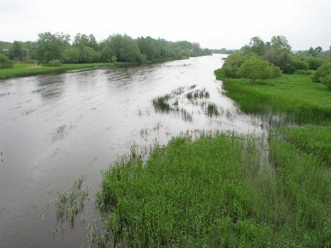 Maakond: Läänemaa Veekogu nimi: Kasari jõgi Pildistamise aeg: 4. juuni 2005 Pildistaja: H. Timm Pildistamise koht: teadmata Asimuut: