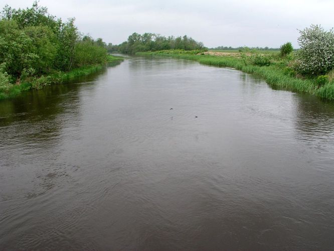 Maakond: Läänemaa Veekogu nimi: Kasari jõgi Pildistamise aeg: 4. juuni 2005 Pildistaja: H. Timm Pildistamise koht: teadmata Asimuut: