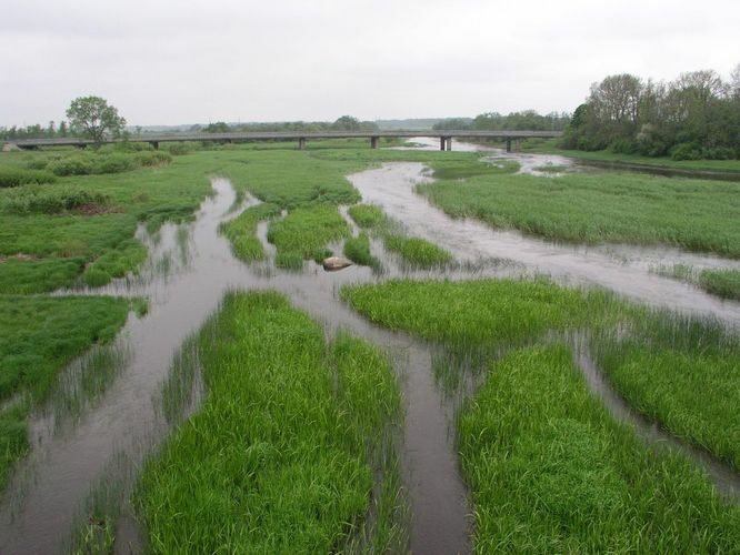 Maakond: Läänemaa Veekogu nimi: Kasari jõgi Pildistamise aeg: 4. juuni 2005 Pildistaja: H. Timm Pildistamise koht: teadmata Asimuut: