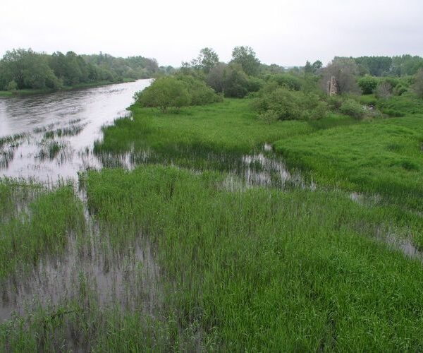 Maakond: Läänemaa Veekogu nimi: Kasari jõgi Pildistamise aeg: 4. juuni 2005 Pildistaja: H. Timm Pildistamise koht: teadmata Asimuut: