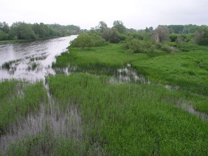 Maakond: Läänemaa Veekogu nimi: Kasari jõgi Pildistamise aeg: 4. juuni 2005 Pildistaja: H. Timm Pildistamise koht: teadmata Asimuut: