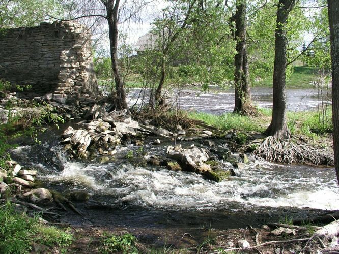 Maakond: Läänemaa Veekogu nimi: Kasari jõgi Pildistamise aeg: 16. mai 2006 Pildistaja: H. Timm Pildistamise koht: Jõeääre Asimuut: