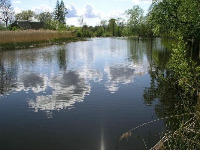 Maakond: Läänemaa Veekogu nimi: Kasari jõgi Pildistamise aeg: 16. mai 2006 Pildistaja: H. Timm Pildistamise koht: Jõeääre Asimuut: