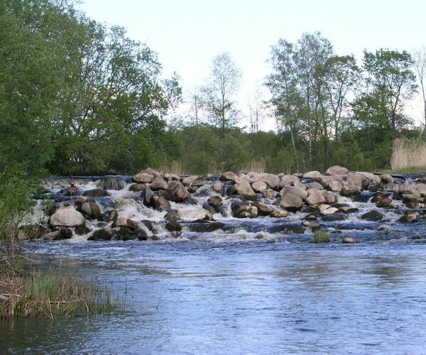 Maakond: Läänemaa Veekogu nimi: Kasari jõgi Pildistamise aeg: 16. mai 2006 Pildistaja: H. Timm Pildistamise koht: Jõeääre Asimuut: