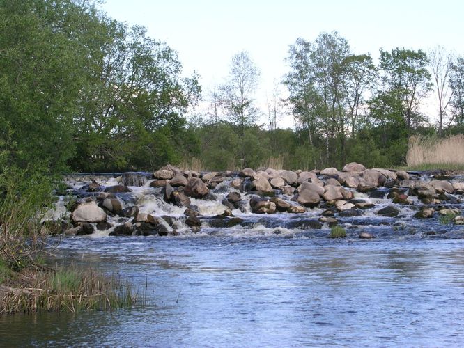 Maakond: Läänemaa Veekogu nimi: Kasari jõgi Pildistamise aeg: 16. mai 2006 Pildistaja: H. Timm Pildistamise koht: Jõeääre Asimuut: