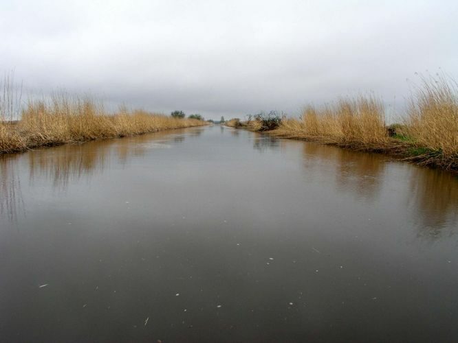 Maakond: Läänemaa Veekogu nimi: Kasari jõgi Pildistamise aeg: 15. mai 2007 Pildistaja: H. Timm Pildistamise koht: alamjooks Asimuut: