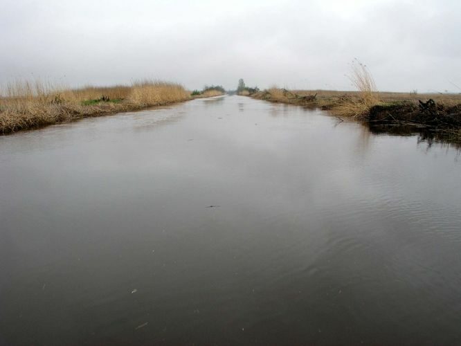 Maakond: Läänemaa Veekogu nimi: Kasari jõgi Pildistamise aeg: 15. mai 2007 Pildistaja: H. Timm Pildistamise koht: alamjooks Asimuut: