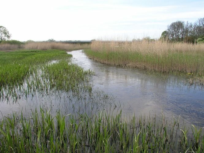 Maakond: Läänemaa Veekogu nimi: Kasari jõgi Pildistamise aeg: 16. mai 2009 Pildistaja: H. Timm Pildistamise koht: alamjooks Asimuut: