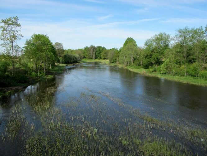 Maakond: Läänemaa Veekogu nimi: Kasari jõgi Pildistamise aeg: 20. mai 2010 Pildistaja: H. Timm Pildistamise koht: Teenuse Asimuut: