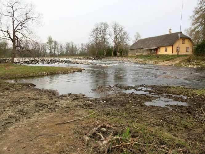 Maakond: Läänemaa Veekogu nimi: Kasari jõgi Pildistamise aeg: 11. mai 2013 Pildistaja: H. Timm Pildistamise koht: Jõeääre Asimuut: