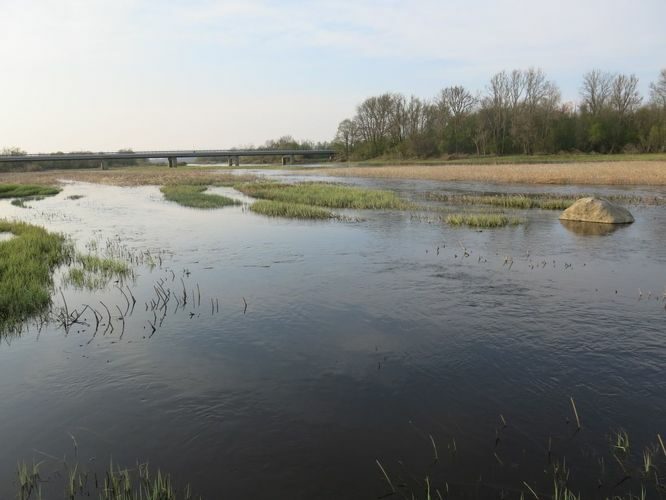 Maakond: Läänemaa Veekogu nimi: Kasari jõgi Pildistamise aeg: 11. mai 2013 Pildistaja: H. Timm Pildistamise koht: Kasari vana sild Asimuut: