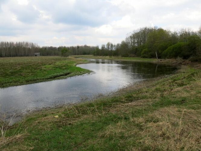 Maakond: Raplamaa Veekogu nimi: Kasari jõgi Pildistamise aeg: 12. mai 2013 Pildistaja: H. Timm Pildistamise koht: Tolli Asimuut: