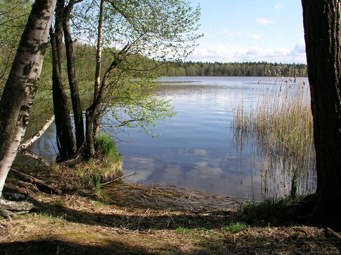 Maakond: Lääne-Virumaa Veekogu nimi: Käsmu järv Pildistamise aeg: 13. mai 2009 Pildistaja: H. Timm Pildistamise koht: teadmata Asimuut: