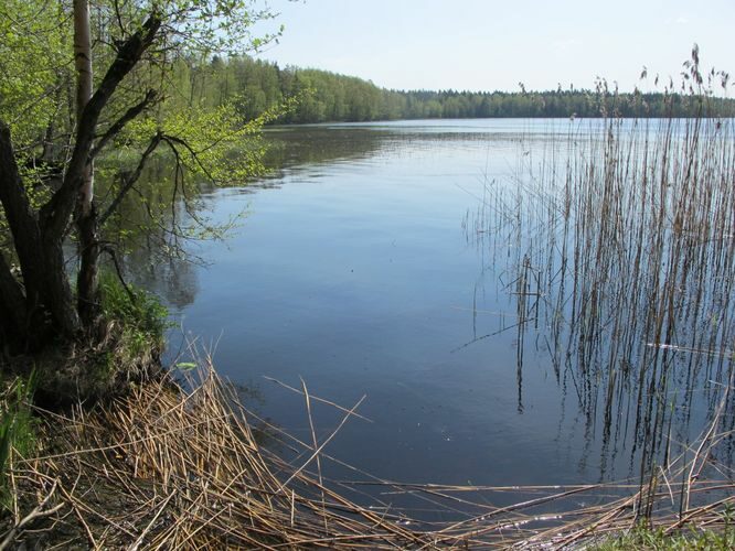 Maakond: Lääne-Virumaa Veekogu nimi: Käsmu järv Pildistamise aeg: 16. mai 2012 Pildistaja: H. Timm Pildistamise koht: teadmata Asimuut: