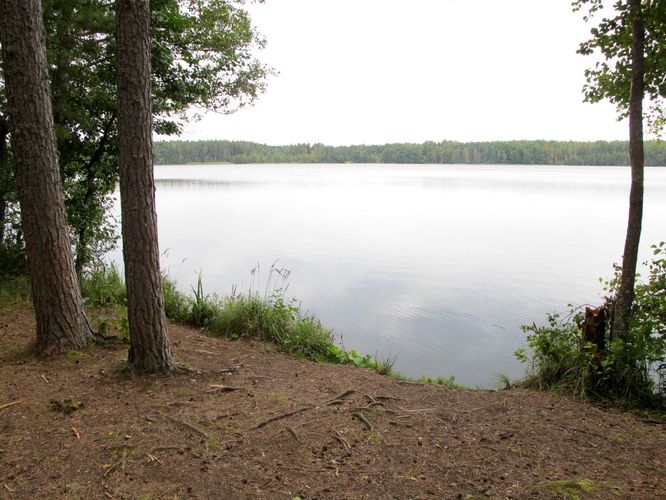 Maakond: Lääne-Virumaa Veekogu nimi: Käsmu järv Pildistamise aeg: 11. september 2012 Pildistaja: H. Timm Pildistamise koht: teadmata Asimuut: