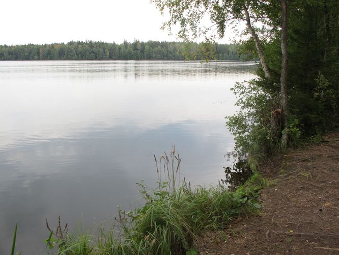 Maakond: Lääne-Virumaa Veekogu nimi: Käsmu järv Pildistamise aeg: 11. september 2012 Pildistaja: H. Timm Pildistamise koht: teadmata Asimuut: