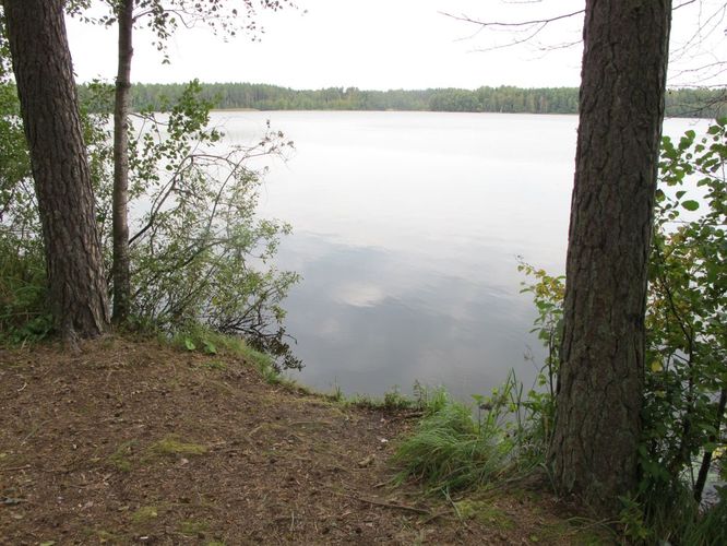 Maakond: Lääne-Virumaa Veekogu nimi: Käsmu järv Pildistamise aeg: 11. september 2012 Pildistaja: H. Timm Pildistamise koht: teadmata Asimuut: