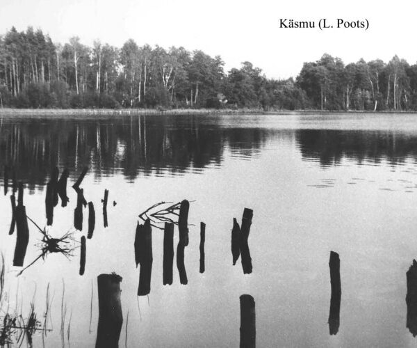 Maakond: Lääne-Virumaa Veekogu nimi: Käsmu järv Pildistamise aeg: teadmata Pildistaja: L. Poots (Eesti Looduse arhiiv) Pildistamise koht: teadmata Asimuut: