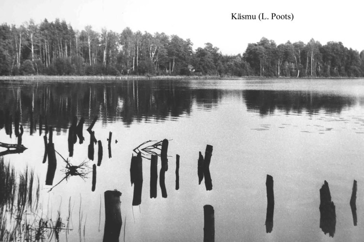 Maakond: Lääne-Virumaa Veekogu nimi: Käsmu järv Pildistamise aeg: teadmata Pildistaja: L. Poots (Eesti Looduse arhiiv) Pildistamise koht: teadmata Asimuut: