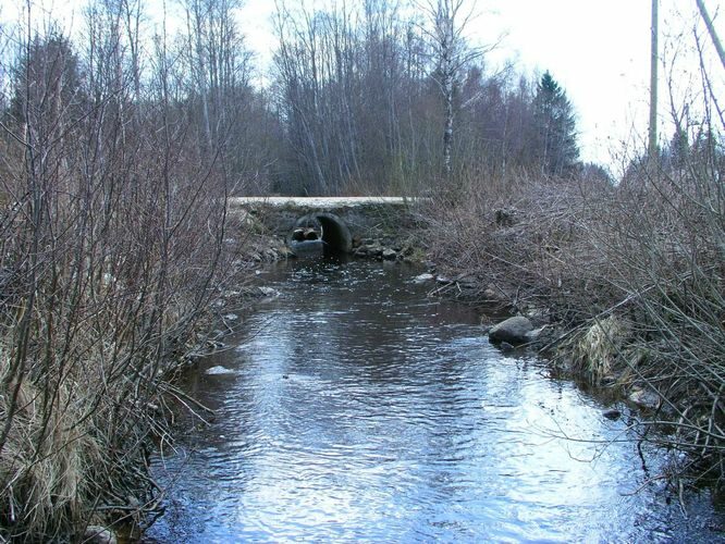 Maakond: Raplamaa Veekogu nimi: Keila jõgi Pildistamise aeg: 26. aprill 2005 Pildistaja: H. Timm Pildistamise koht: teadmata Asimuut: