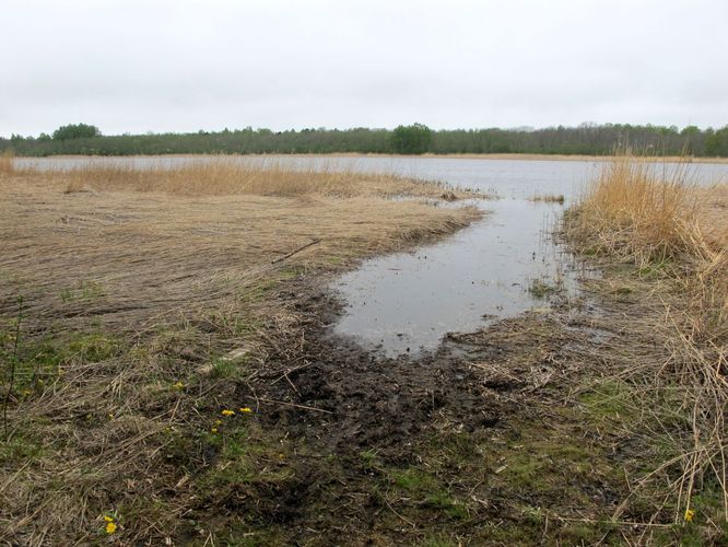 Maakond: Pärnumaa Veekogu nimi: Kiissa laht Pildistamise aeg: 17. mai 2011 Pildistaja: H. Timm Pildistamise koht: teadmata Asimuut: