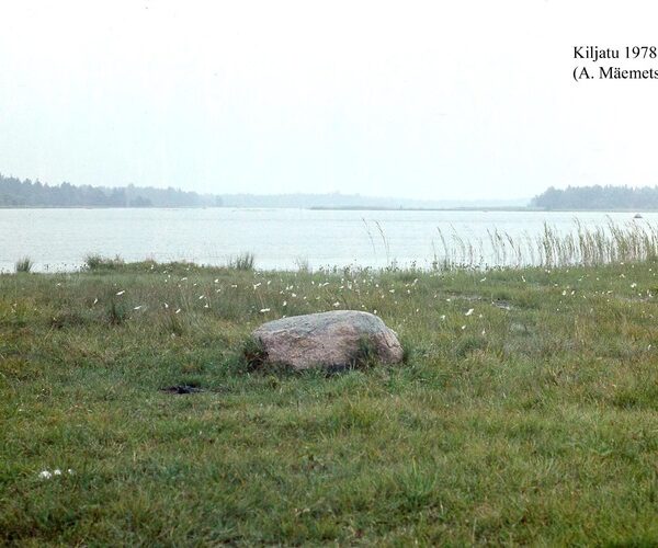 Maakond: Saaremaa Veekogu nimi: Kiljatu järv Pildistamise aeg: juuli 1978 Pildistaja: A. Mäemets Pildistamise koht: W kaldalt Asimuut: ENE
