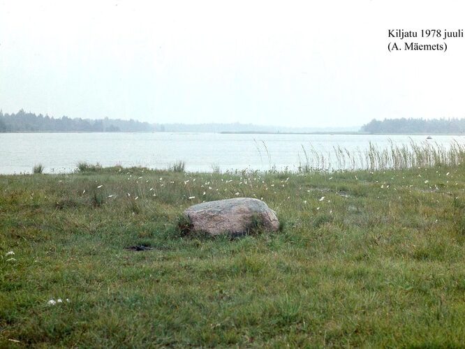 Maakond: Saaremaa Veekogu nimi: Kiljatu järv Pildistamise aeg: juuli 1978 Pildistaja: A. Mäemets Pildistamise koht: W kaldalt Asimuut: ENE