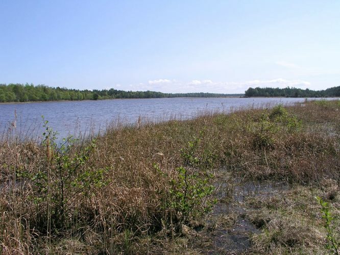 Maakond: Saaremaa Veekogu nimi: Kiljatu järv Pildistamise aeg: 27. mai 2003 Pildistaja: H. Timm Pildistamise koht: teadmata Asimuut: